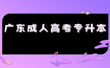 2024年廣東成考專升本專業(yè)怎么選擇？